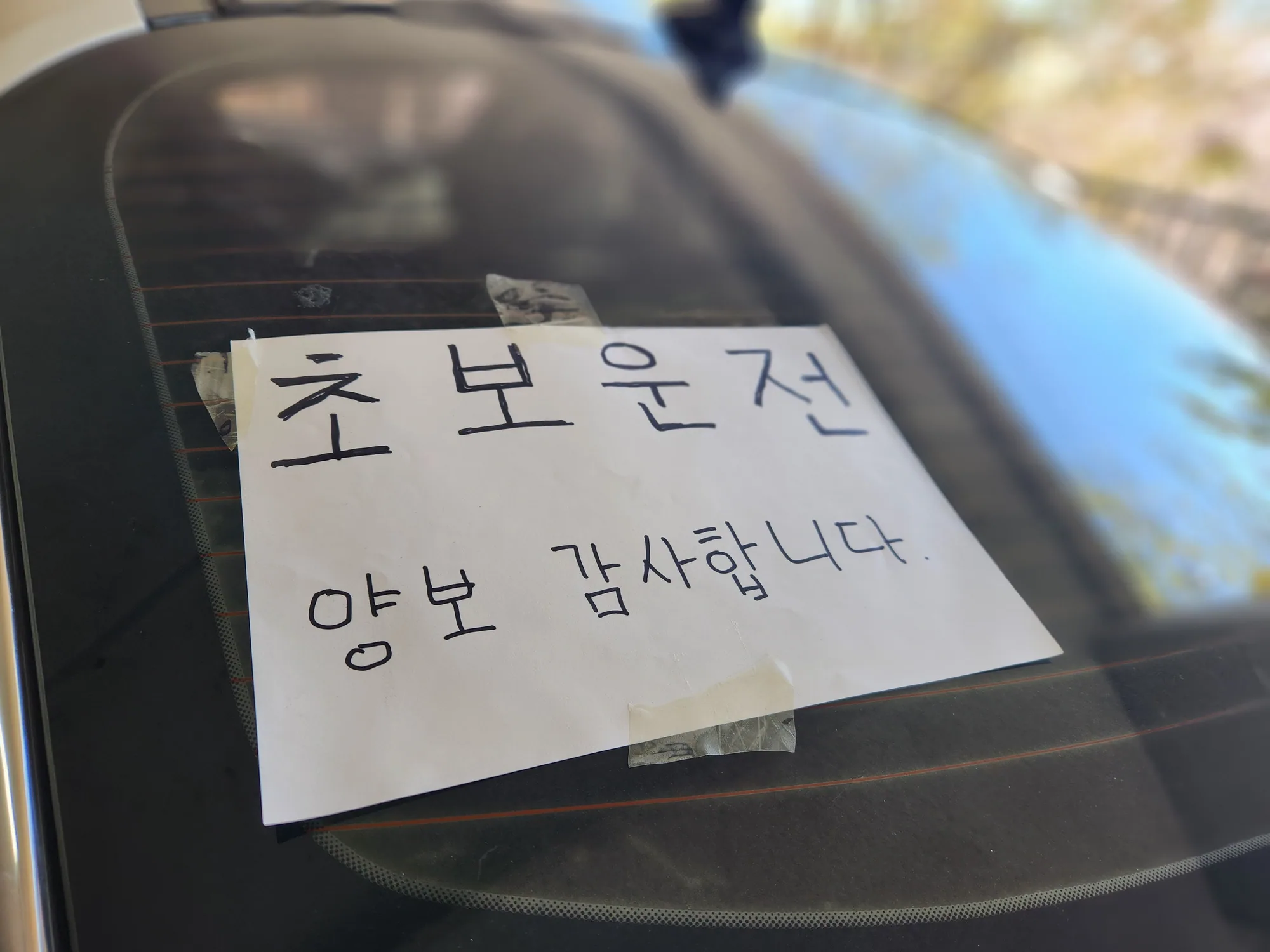 남편한테 배우다 포기했는데 연수받길 잘했네요 후기 사진 1